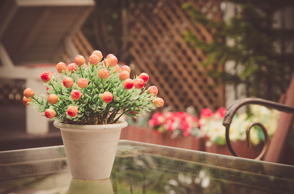 my backyard vase